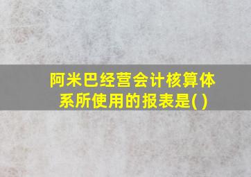 阿米巴经营会计核算体系所使用的报表是( )